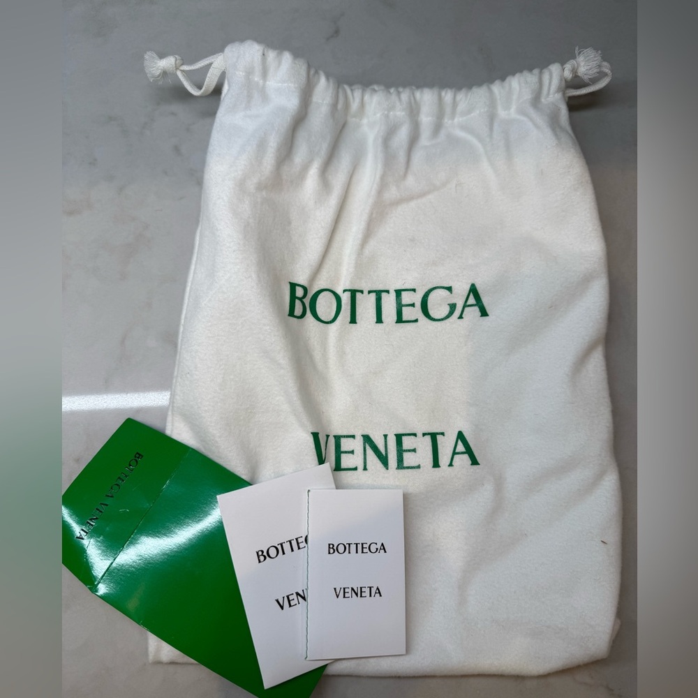 Bottega Veneta Mini Loop Camera Bag (Parakeet/Green) - Picture 9 of 10
